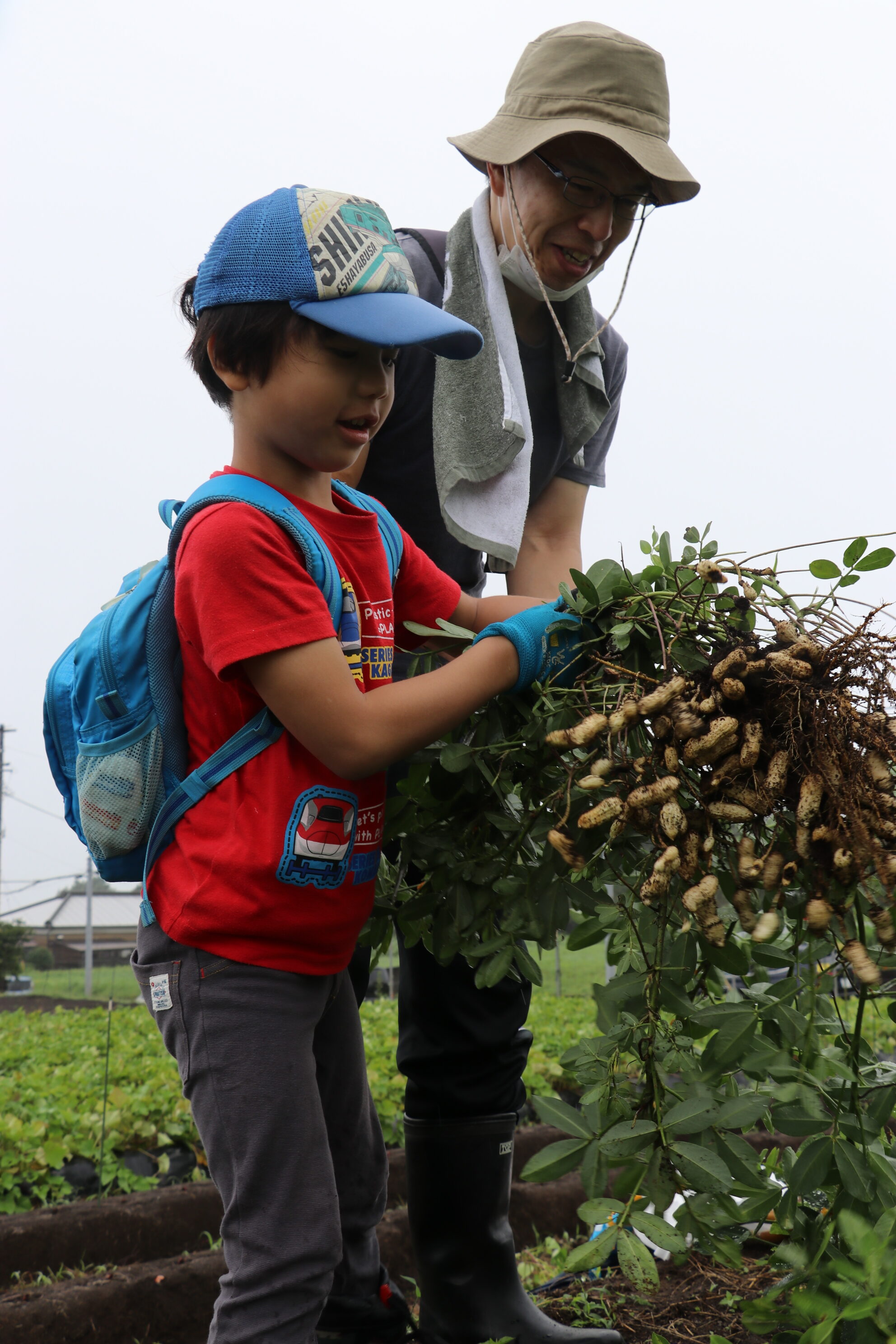 落花生農園オーナー