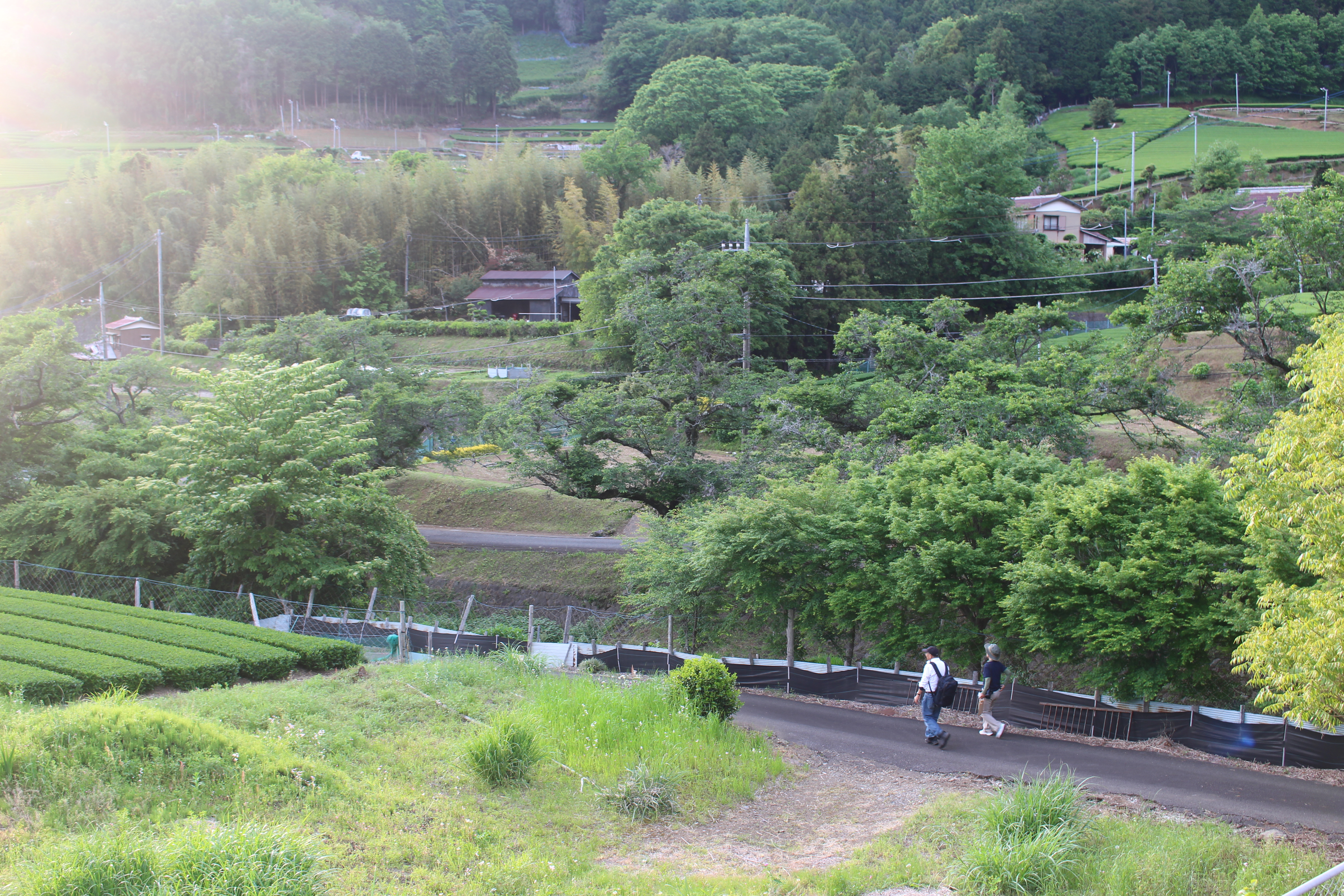 菩提地区を地元の方に案内して頂いた時の写真。（5月）　